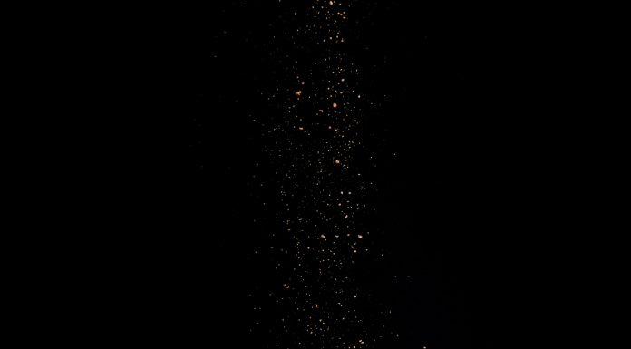 Why Fad Diets Don’t Work for Long-Term Weight Loss