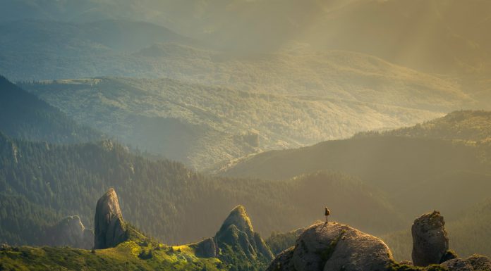 How to Stay Safe While Exercising Outdoors