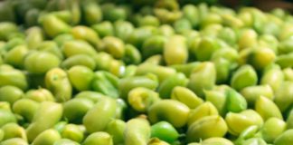 10 Healthy Snacks to Keep You Satisfied and Energized Throughout the Day