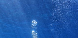 The Top 10 Adventure Sports for an Adrenaline-Pumping Workout