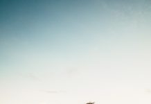 The Benefits of Outdoor Workouts for Your Fitness and Well-Being